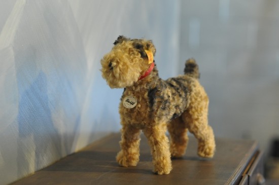 Scoogle